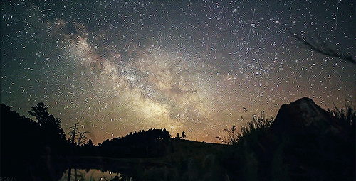 thestarsareourancestors:   [X]  