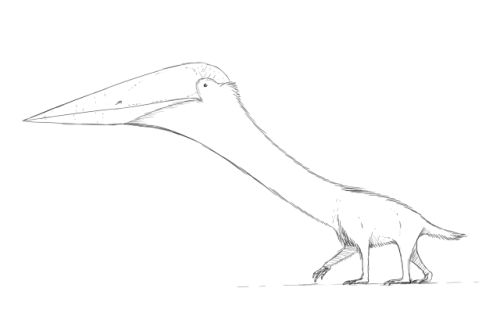 diplotomodon:drawingdinosaurs:is-a-velociraptor:drawingdinosaurs:is-a-velociraptor:drawingdinosaurs: