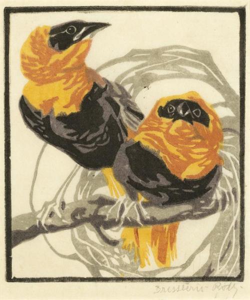 art-and-things-of-beauty:  Coloured Linocuts of Birds by Norbertine Bresslern-Roth (Austrian, 1891-1978). 