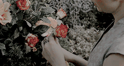 moirainedamodred: I want to be t h e  q u e e n 