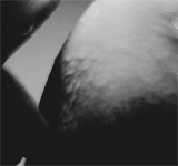lost in limbo