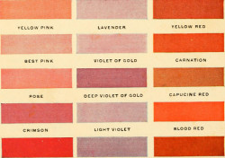 charlieambler:  Image from page 31 of “Colors and coloring in china painting.” (1914)