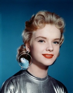 gelatinadeleche:  Anne Francis and parakeet   janiceandian