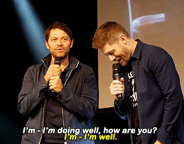 angvlicmish:jib 2016 / nerdhq 2016 / honcon 2017 / spnuk 2018
