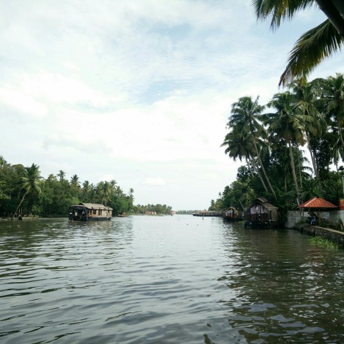 Backwaters, Kerala.