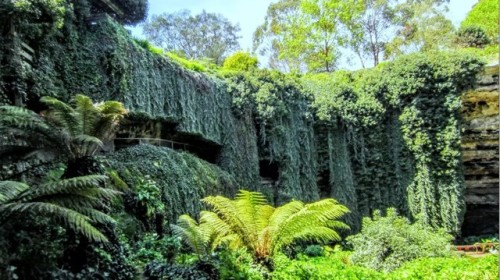 oceaniatropics: Umpherston Sinkhole, South Australia