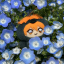 star-miffy