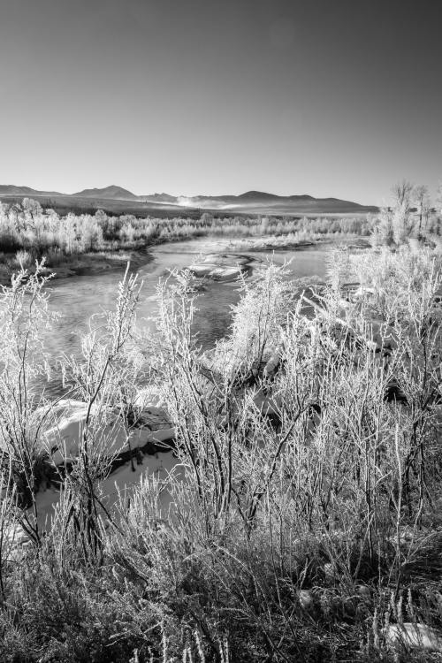 Gros Ventre river, Grand Teton National Park. December, 2020.