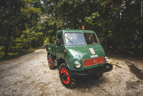 emanuele-meschini: Mercedel UNIMOG 1957 © Emanuele Meschini