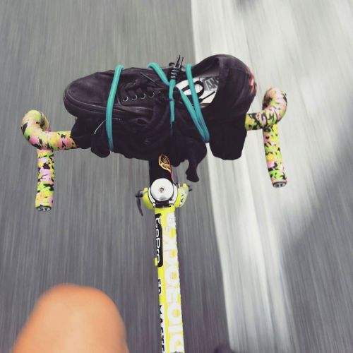 thebicycletree: #roma #garbatella #sun #skid #cycling #giro #fixedgear #fixietime #fixedporn #track 