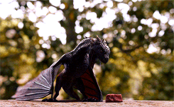 jonssnow:  Dracarys 