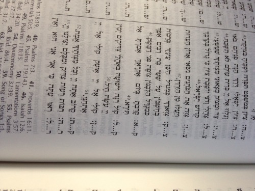 eileenthequeen:koleliana:  eileenthequeen:  This Siddur does not have my name :c Does someone know w