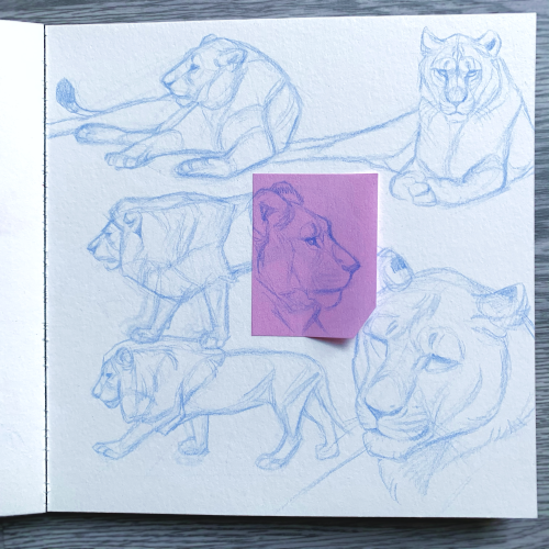 My Sketchbooks Have Been Really Ignored Lately So I Did Some Livecam Sketching