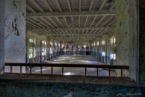 Colourful decay and nature taking over. Abandoned gym, Germany, 2017.flickr ◄ ► instagram 