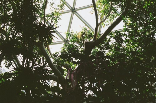matchbox-mouse:Not going to stop posting these photos of the conservatory. Sorry not sorry.