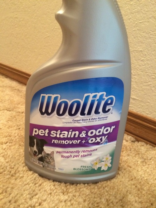 a-beginnings-end:  This stuff has been a life saver since Bryon has been gone. I swear these dogs hate me. If it’s not one shitting on the carpet it’s the other barfing all over at the top of the stairs. What a lovely way to wake up this morning.