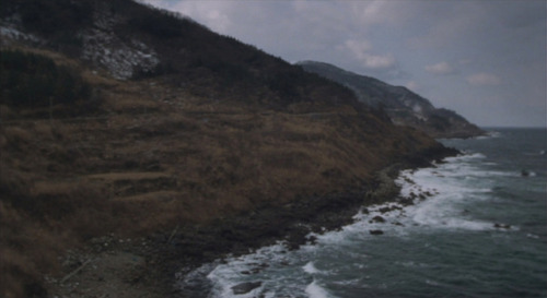 liinza:Maboroshi no hikari, Hirokazu Koreeda, 1995