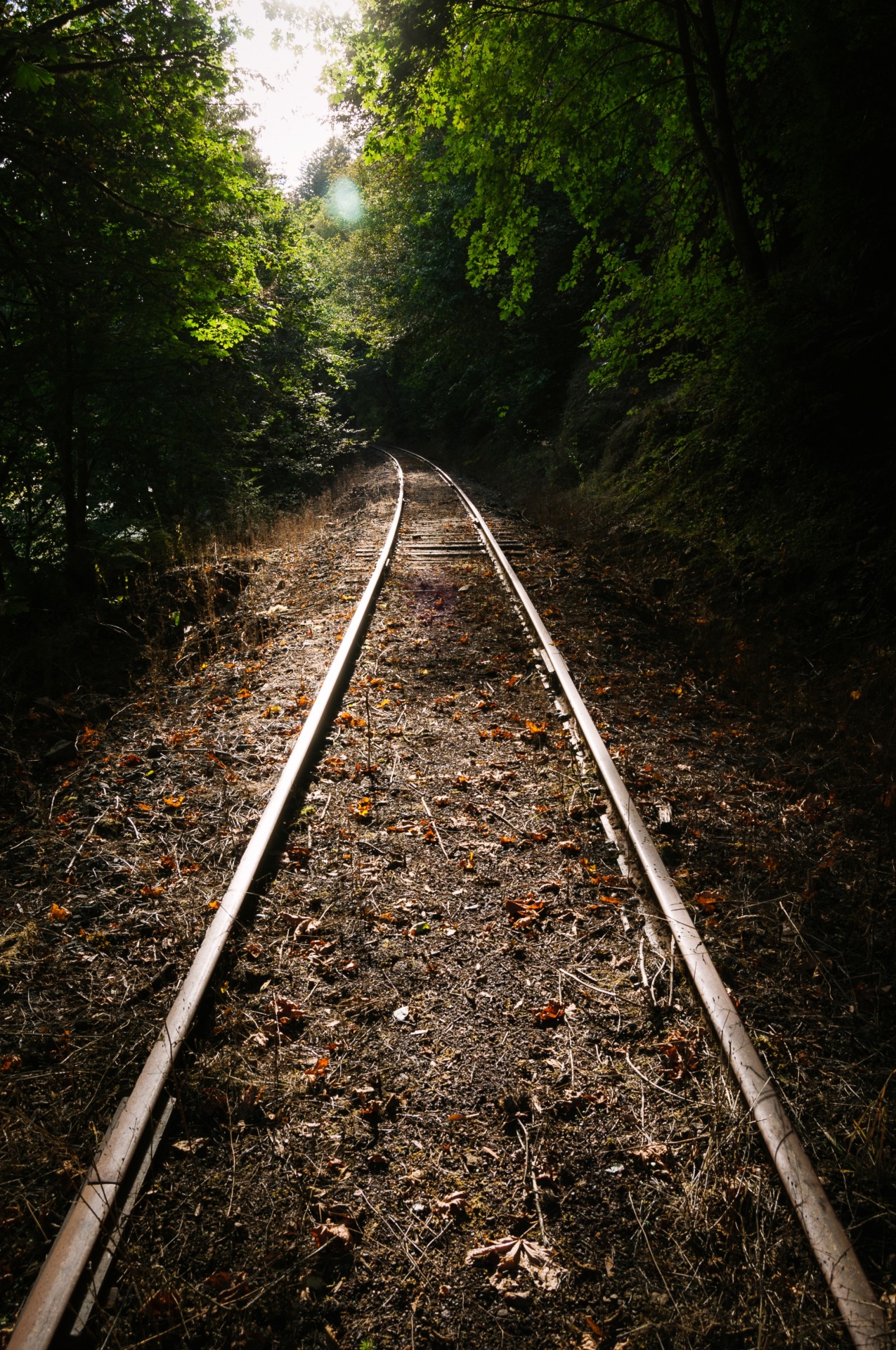 kovthephotographer:  Ghost Railways of Oregon 