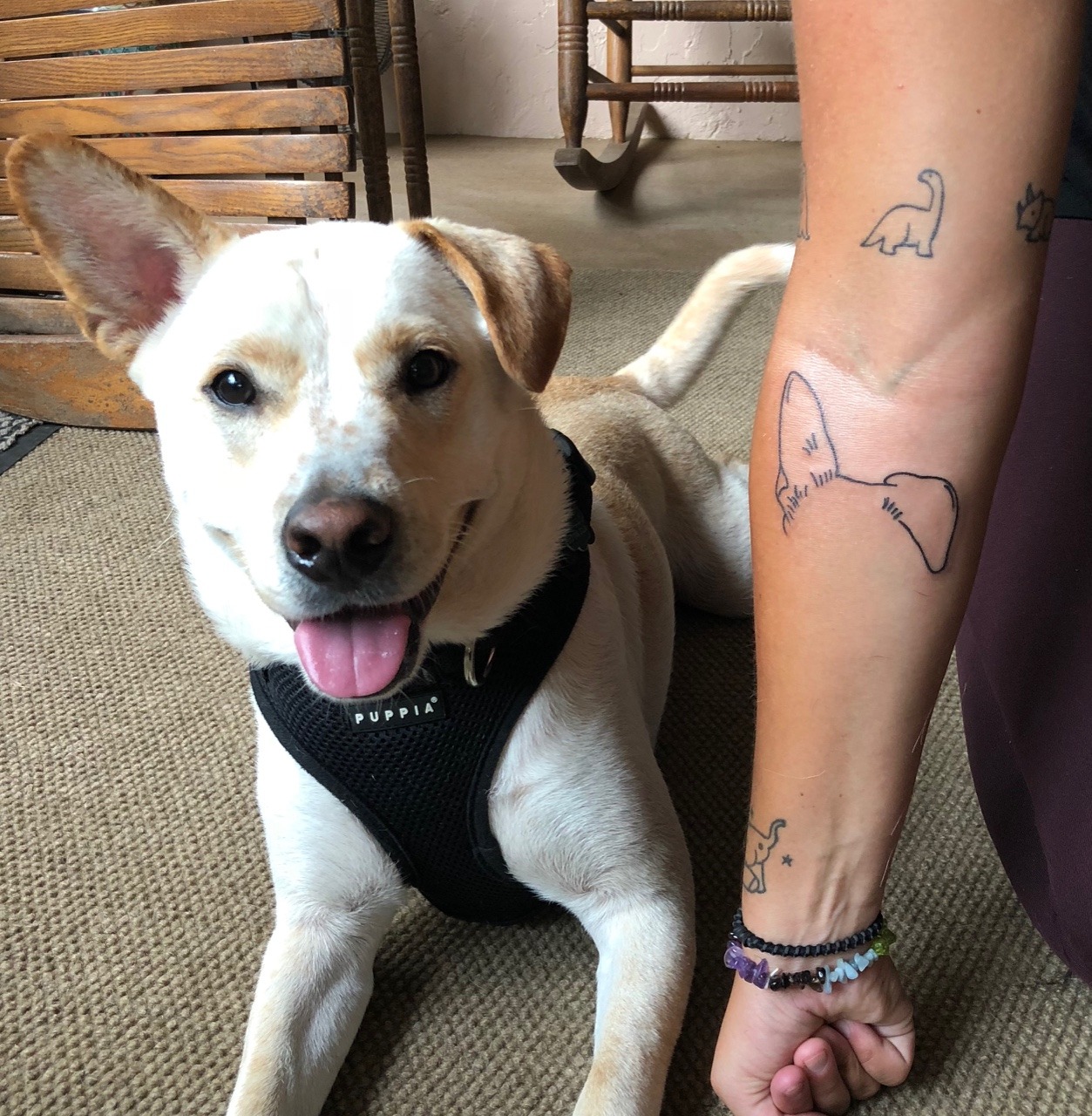 quitesorry:  ink-pedia: submitted by http://kerrieisscary.tumblr.com  Wanna see