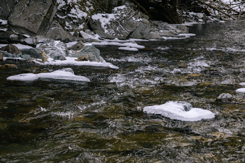 Creek still runs in the winter.