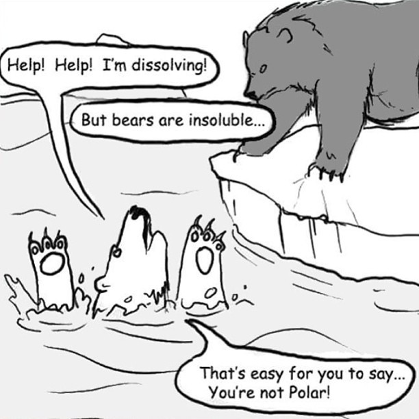 9gag:  Bear troubles