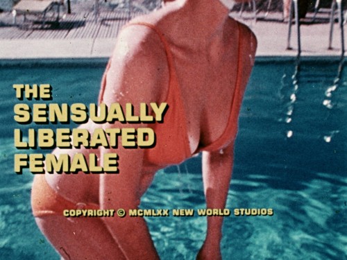 The Sensually Liberated Female (Matt Climber, 1970)