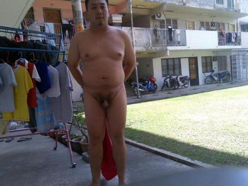 Chubby Asian adult photos