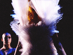 goddessoflov-blog:  So Happy I Could Die at Madison Square Garden (2011) 