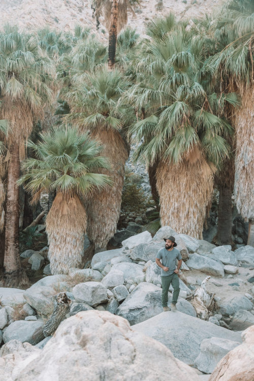 televisionofnomads:49 Palms Oasis in Joshua TreeFind more on our Joshua Tree itinerary: https:/