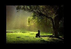 https://64.media.tumblr.com/a7fc4e3e60b1d7a75a7816999cdea27d/tumblr_nap60o2L7A1sj96z7o1_500.jpg