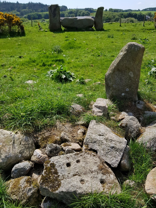 Strichen Recumbent Stone Circle, Strichen, Scotland, 29.5.18. This recumbent circle has been displac