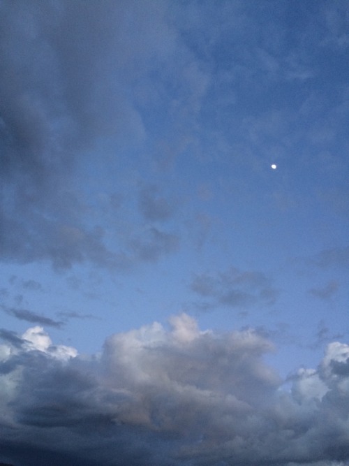 ghostadrift: im head over heels in love with this weather