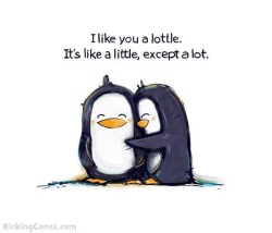 I LOVE PENGUINS!!!!!!