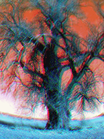 where is my mind?﻿