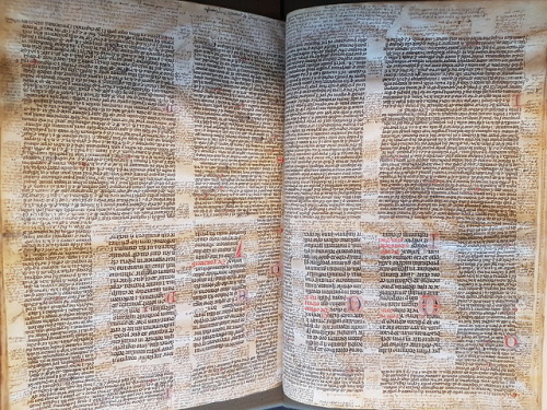 Ms. Codex 732 -  [Commentaries on canon law]If you want to study canon law, these 63 leaves will def