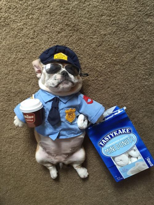 Dog cop with doughnutsVia:  https://feed.barkpost.com/posts/6443