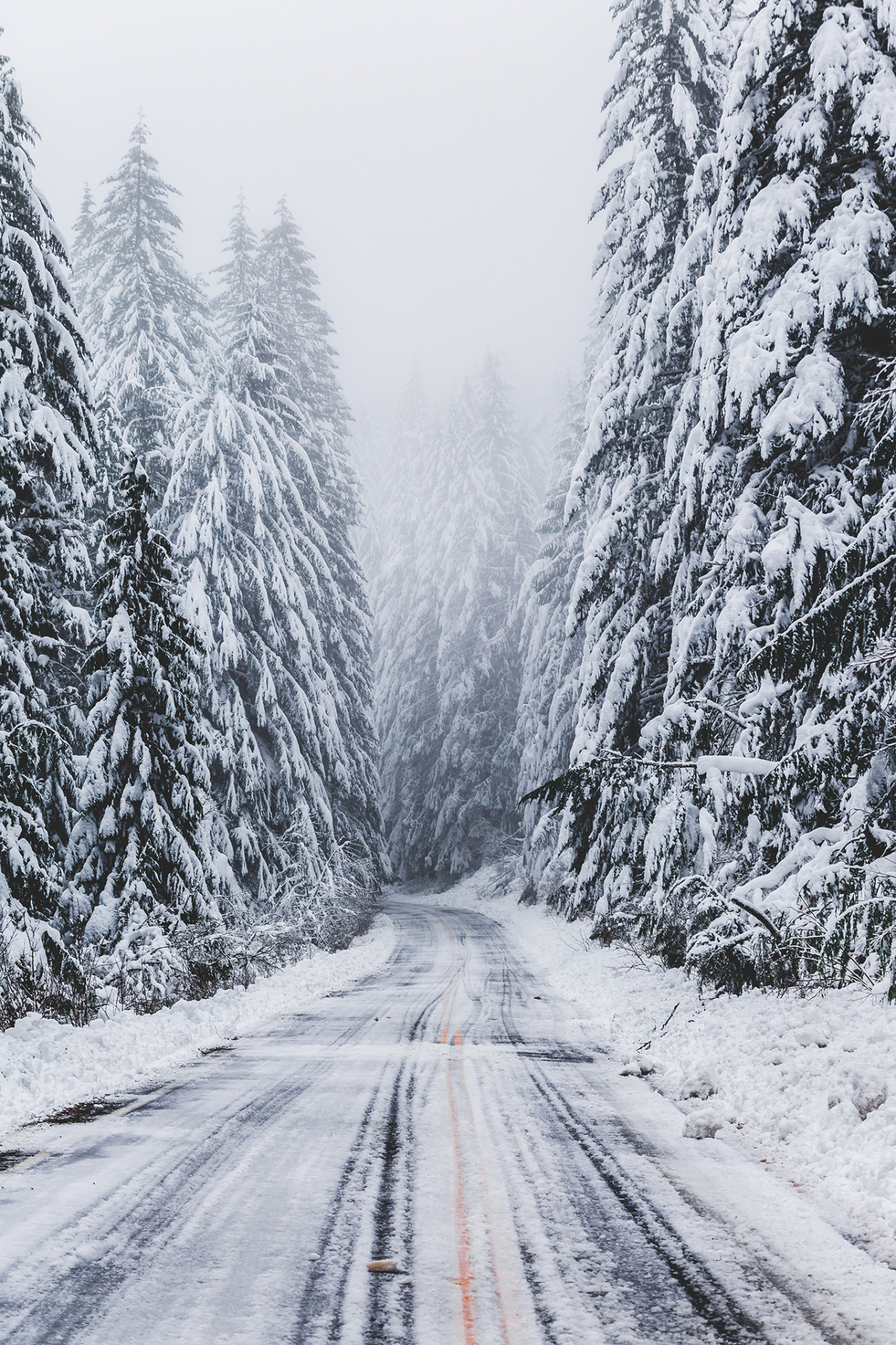 brianstowell:  Took my car sledding yesterday 