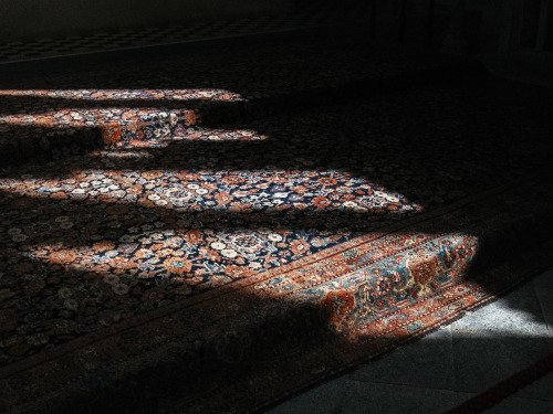 Light fall in Fitzalan Chapel, Arundel Castle Grounds, Arundel