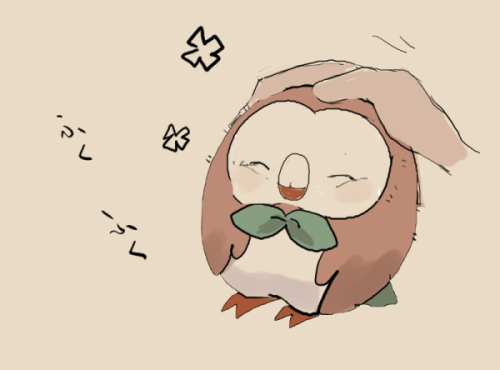 satsuki-ut: I just want to tease Rowlet. kawaii.