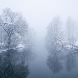 quiet-nymph:  Photography by Jonas Funck