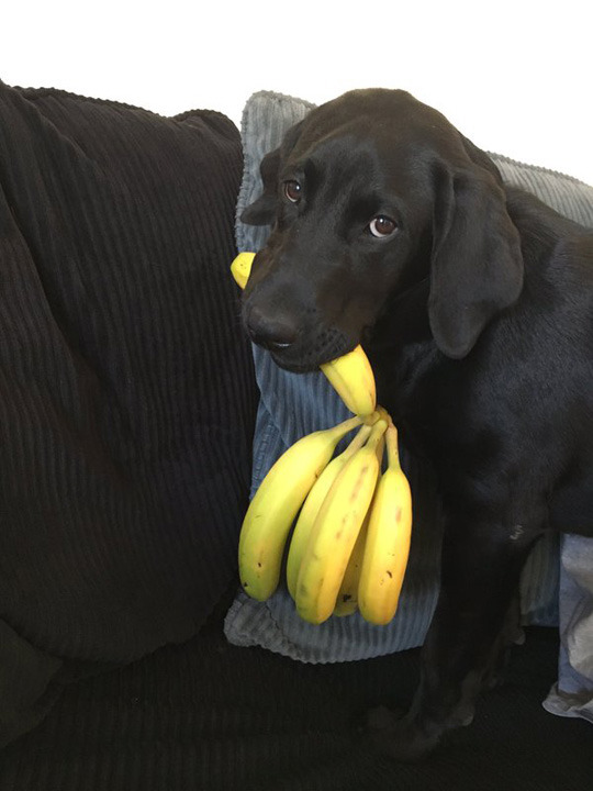 tastefullyoffensive:  “No take, only open.” (via kmdaugherty)