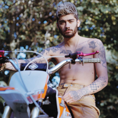 zayndele: i cant believe this 