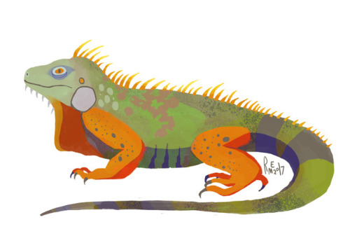 lizards, part two!