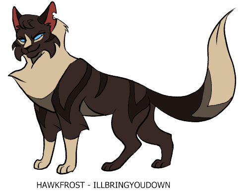 Hawkfrost ! The tiger family is complete 