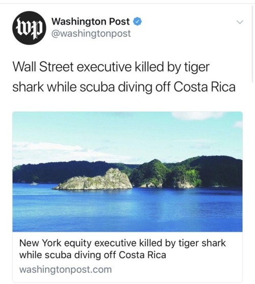 v1als:ministryoftruth:pumpkin-plight:direct actioncomrade tiger shark out here literally eating the 