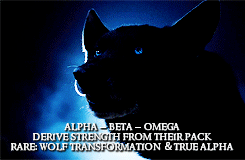  Teen Wolf + Shape Shifters 