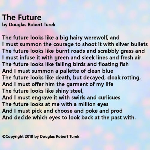 The Future by Douglas Robert Turek