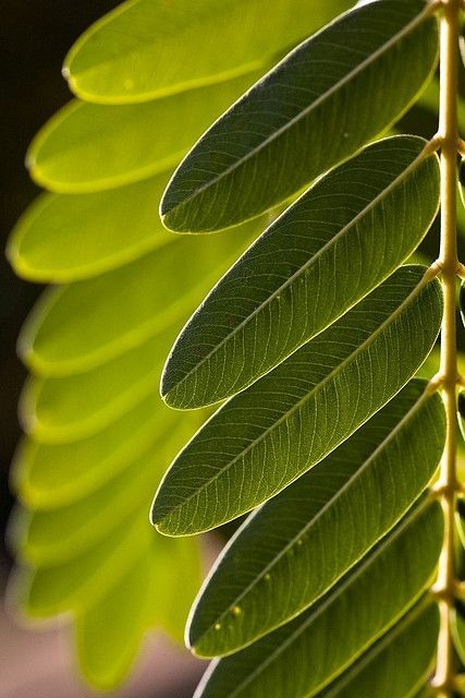 Encontrado em Flickr.Via Pintrest.
