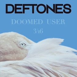 fuckyesdeftones:  Deftones have revealed