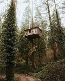 mavjournal:Peaceful treehouse in Basque Country